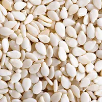 Sesame