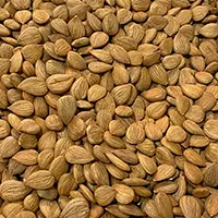 Almond oil