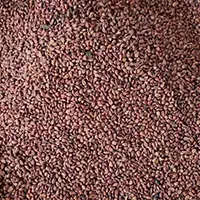 Grape seed oil