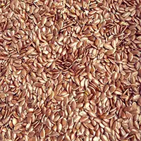Flaxseed