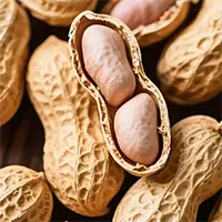 peanut