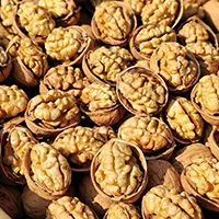 Walnut oil