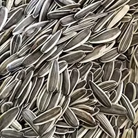 Sunflower seeds