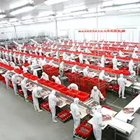 Slaughterhouses & meat processing plants